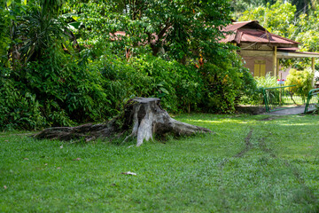 Unpaved road at  Kampong Lorong Buangkok in Singapore.