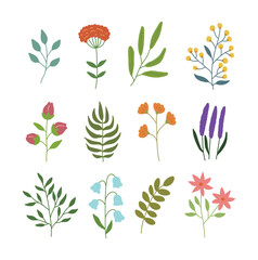 A set of drawing illustrations with a colorful spring season concept, including flowers, nature, gardens, plants, and leaves.