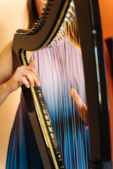 Hungarian harpist playing an electronic harp