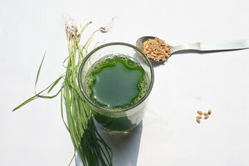 Wheatgrass juice on white background. Healthy organic green detox juice from grass of green...