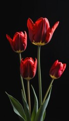 Obraz premium AI generated photo of Red Tulips