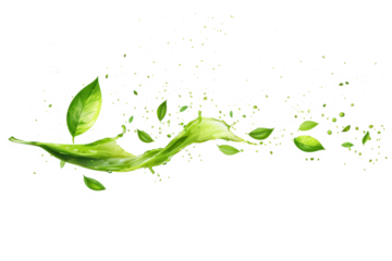 Soothing splash of aromatic green tea, with tea leaves