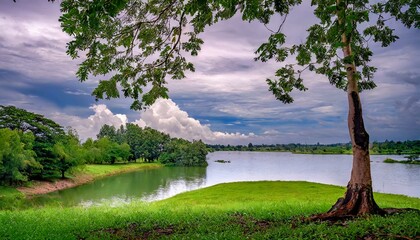 landscape with lake,Nestled deep within the heart of the forest, a crystal-clear stream meanders its way through a verdant landscape,