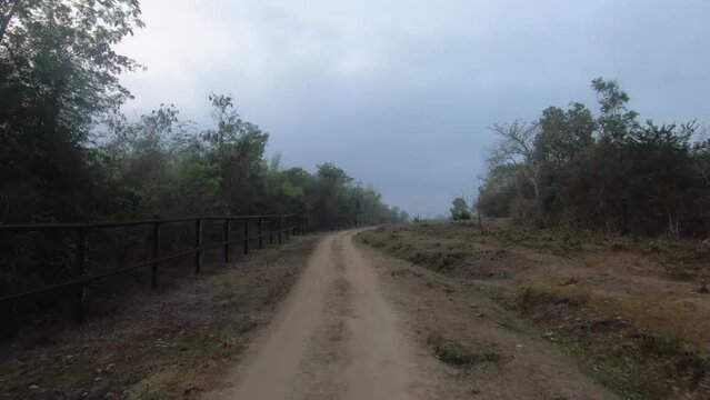 Deep blue sky and a ochre soil in the Kabini national park