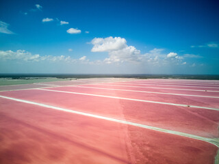 Las Coloradas Pink lake , Mexico . Drone