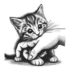Kitten bites hand sketch engraving generative ai fictional character raster illustration. Scratch board imitation. Black and white image.
