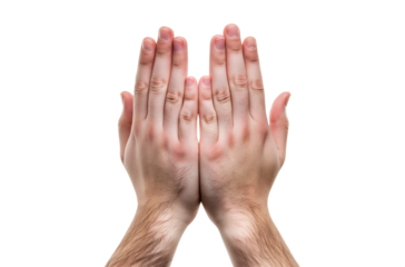 White man Praying hands. Transparent background PNG. Clasped hands in prayer. Religious concepts such as thanking god, salvation, holy spirit, deliverance, faith and deliverance from evil