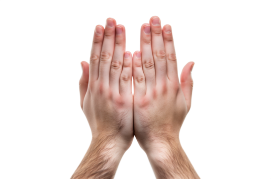 White man Praying hands. Transparent background PNG. Clasped hands in prayer. Religious concepts such as thanking god, salvation, holy spirit, deliverance, faith and deliverance from evil