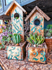 Fototapeta na wymiar Cactus and succulents in wooden pot, Wooden birdhouses in the garden. Decorative bird houses.