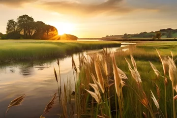 Draagtas Serene landscape of reed meadow by river at sunset picturesque scene capturing tranquil beauty of nature with golden sunlight reflecting on water perfect for backgrounds depicting environments Generat © Jaon