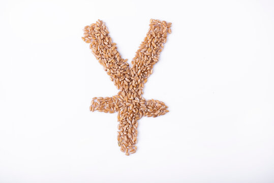 Chinese Yuan and Japanese Yen sign made of grain on a white background. The concept of the grain crisis and the development of the eastern economy