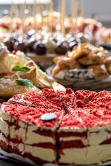 Party snacks, cake, blurred background. Delicious desserts on the table in a restaurant. Selective focus.