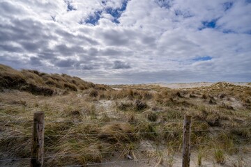 Sand dunes on North Sea coast, Netherlands.