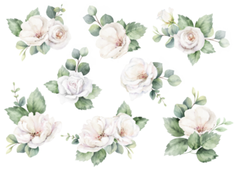 White roses and eucalyptus branches. Watercolor floral bouquets. Foliage arrangement for wedding , greetings, wallpapers, fashion, fabric, home decoration. Hand painted illustration.