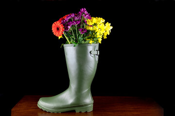 Rubber Field Boot with Flowers on a Wooden Bench Isolated on a Black Background - 761446896
