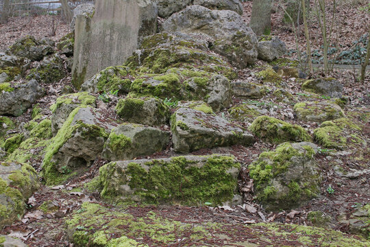 An image of old stones overgrown with moss.