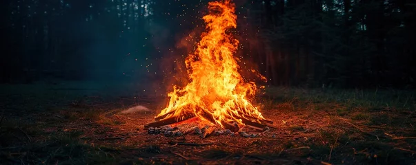 Foto op Plexiglas Bonfire with high flames © Svitlana