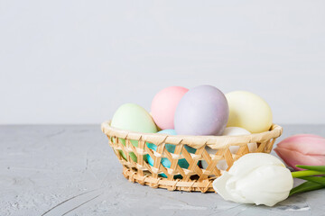 Happy Easter composition. Easter eggs in basket on colored table with yellow Tulips. Natural dyed...