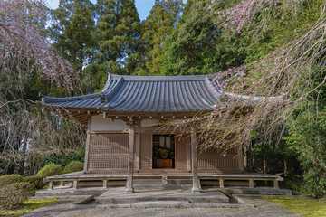 京都醍醐寺 真如三昧耶堂の春景色