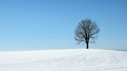 Fototapeta na wymiar A solitary tree stands amidst a vast snowy landscape, under the clear blue sky, exuding calm and serenity.