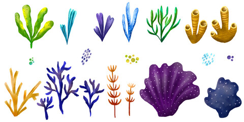Marine set with algae and corals. Undersea world. Children's hand drawn illustration on isolated background - obrazy, fototapety, plakaty