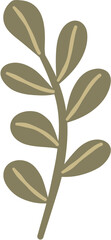 botanical element doodle