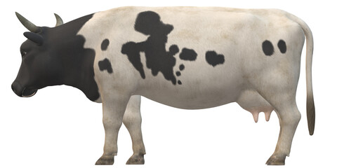 Cow isolated on a Transparent Background