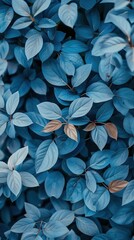 blue plant leaves in the nature in fall season, blue backgroun