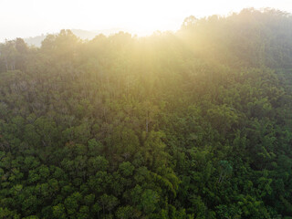 Aerial mountain peak sunrise tropical rainforest sky with cloud