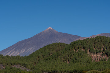 Aerial View of Mount Teide with Pine Forest, Tenerife