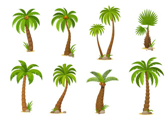Cartoon jungle coconut palm trees. Vivid vector set featuring isolated jungle plants with lush fronds, capturing the essence of tropical beauty. Vibrant exotic flora, 2d game assets or gui elements