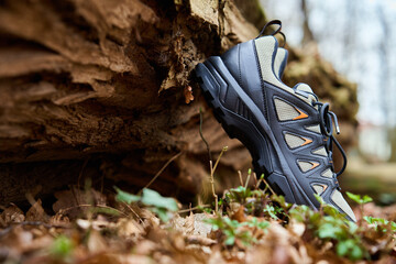 Hiking Boots in Nature. Sturdy trekking shoes against a backdrop of forest terrain. Concept of...