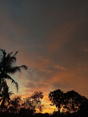 Sunset,sky,yellow,evening,summer,tropical,nature,sunset beautiful 