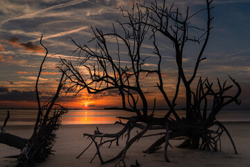 The setting sun framed by old trees on St Andrew's Beach, Jekyll Island, Georgia
