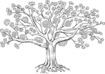 Genealogical family tree. Vector illustration isolated on white background. 