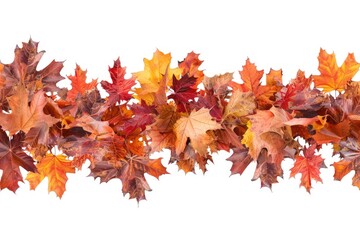 Vibrant autumn leaves against a clean white backdrop, perfect for seasonal designs