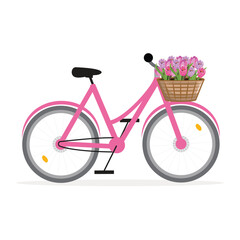 Pink Bicycle with Colourful Tulips