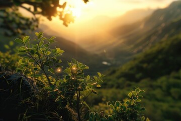 A scenic view of the sun setting over mountains and trees. Perfect for nature and landscape concepts
