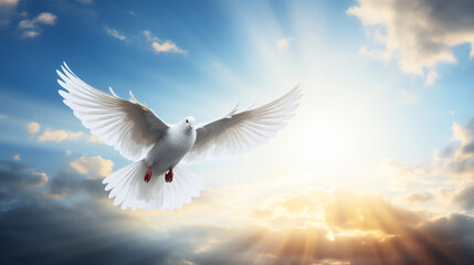 A white dove flies in the sky above a blue and white cloud - obrazy, fototapety, plakaty