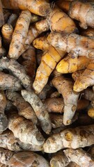 Close up pile of tasty fresh turmeric sold at the market as a background.	