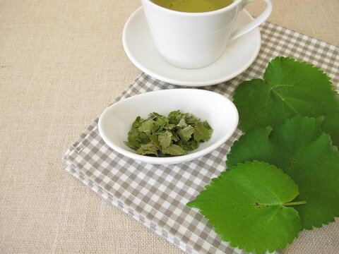 Mulberry leaf tea made from dried leaves from the white mulberry tree