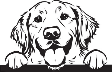 illustration of a peeking golden retriever dog