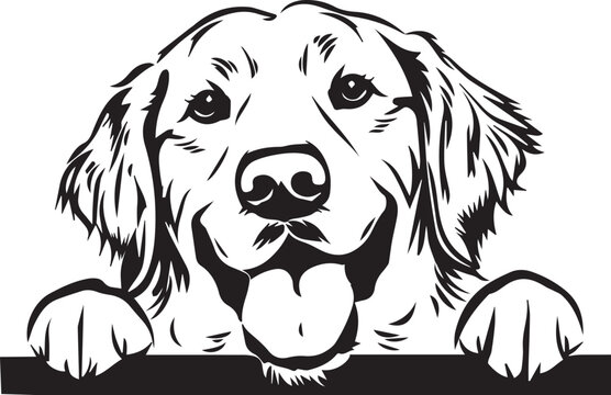 illustration of a peeking golden retriever dog