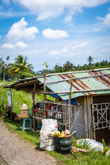 Hut used as a shop in a rice field in Bali
