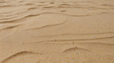 Fototapeta na wymiar summer sand beach background