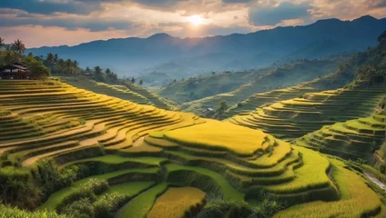 Foto auf Acrylglas Reisfelder Evening sky ignites with hues of orange, pink, casting dreamlike aura over rice fields. Rice terraces etched in daylight fades. Each terrace testament toil of generations. Rice paddies, rice terraces