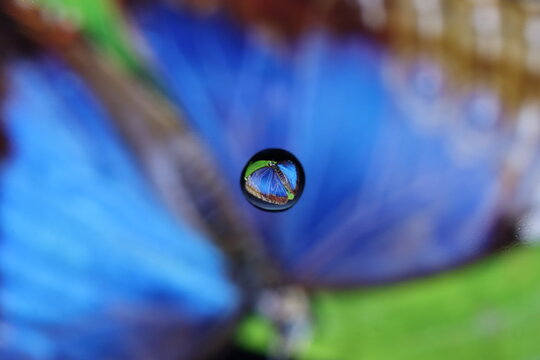 circle with butterfly inside and background out of focus . wallpapers with themes , backgrounds
