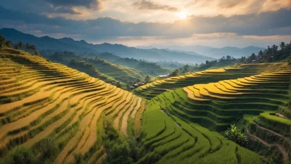 Foto op Canvas Rice paddies thrive in wetland conditions, their flooded fields fostering optimal growth. From sushi to paella, rice proves its versatility across cuisines, sourced from iconic landscapes worldwide © Inna