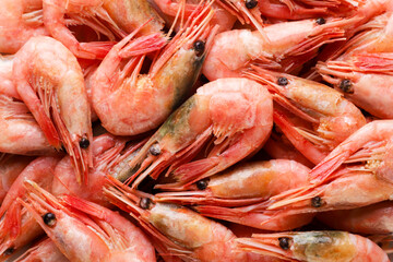 Boiled shrimp background. Top view.