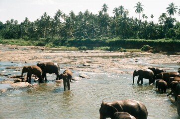 Impressionen von Sri Lanka